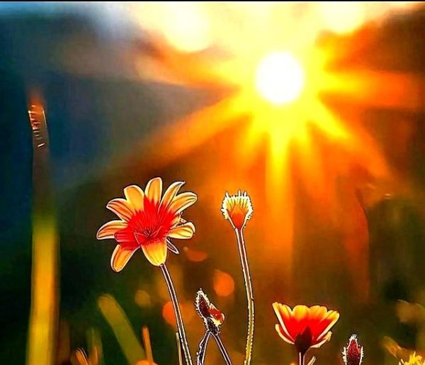 杨方配资 2025年上市公司业绩分化明显 风险警示频现