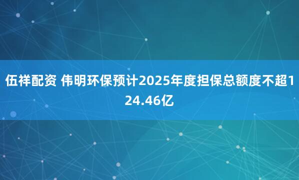 伍祥配资 伟明环保预计2025年度担保总额度不超124.46亿