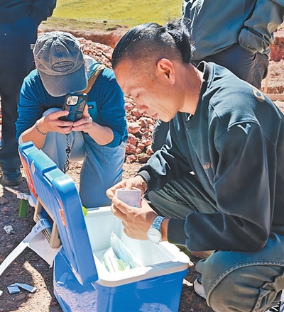 点搭网配资 12只被网友“追更”的雪豹为何都姓“凌”？听保护人说……